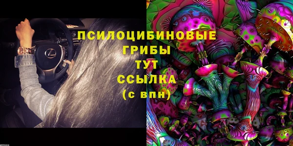 индика Балабаново