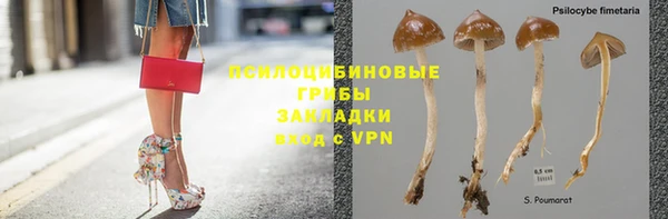 индика Балабаново