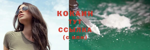 индика Балабаново