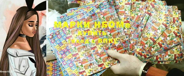 индика Балабаново