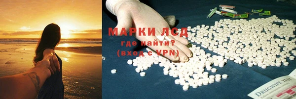 индика Балабаново