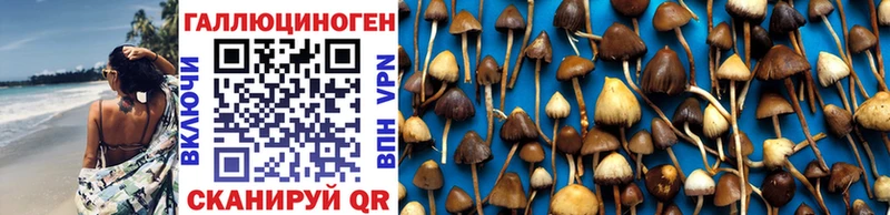 omg вход  Нижнеудинск  Псилоцибиновые грибы Psilocybine cubensis  продажа наркотиков 